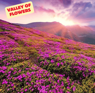 valley of flowers