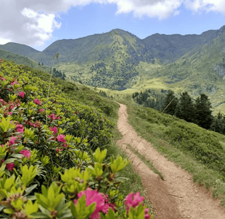 rando - chemins - hautes pyrenees