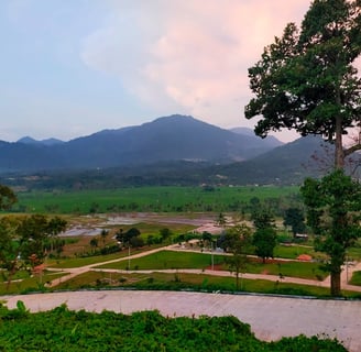 Fasilitas Kavling Nuansa Alam Golden View - Jalan Beton, Listrik, dan Air Bersih