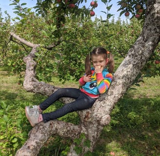 a little girl sitting in a tree eating an apple