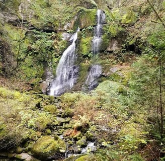 Powers OR - Elk Creek Falls, go in spring-summer for heavy water flow