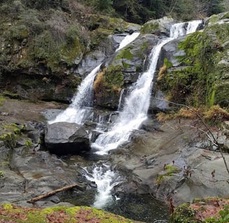Powers OR - Coquille River Falls, go spring/summer for heavier waterfalls
