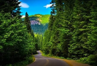 Waterfall Hwy, OR - Gorgeous views on Forest Rd on the way to Watson Falls