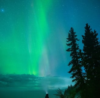Fairbanks, AK - Aurora Borealis Lights aka the Northern Lights seen outside of Fairbanks