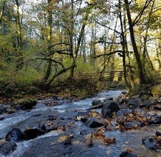 Columbia River Gorge, Oregon - Bridal Veil creek and Bridal Veil falls