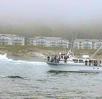Oregon Coast - Whale watching tours spot a gray whale at Depoe Bay