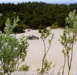 Oregon Coast - Winchester Bay's sand dunes are popular all year