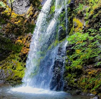 Waterfall Hwy, OR - Fall Creek Falls bottom tier waterfall into a small pool