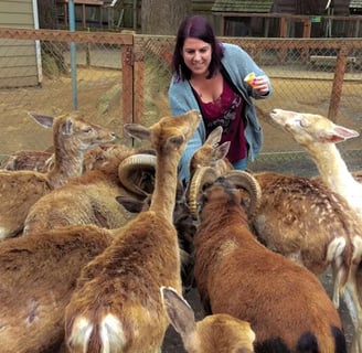 Oregon Coast - Feeding the animals at the West Coast Game Park Safari