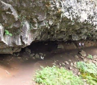 Columbia River Gorge - My little dog Bennie is exploring the cliff overhang at Ponytail Falls
