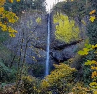 Columbia River Gorge, Oregon - the impressive Latourell Falls drop 224 feet