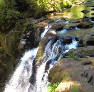 Eugene, OR - Majestic Falls at the top before it plunges down