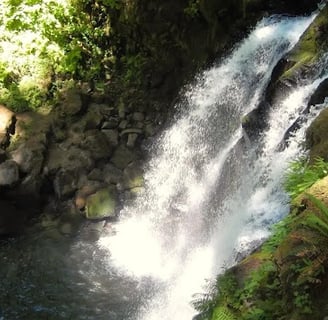 Eugene, OR - Majestic Falls at the bottom to view the 40 foot falls
