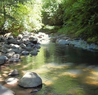 Eugene, OR - View up McKenzie Creek