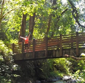 Eugene, OR - Footbridge across McDowell Creek
