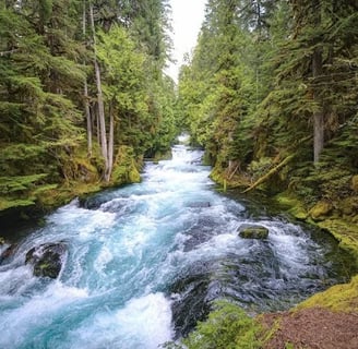 Eugene, OR - blue waters of the McKenzie River running thru forest