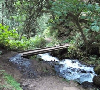 Columbia River Gorge - footbridge across Multnomah Creek that runs along the trail