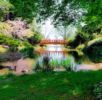 Oregon Coast -Coos Bay Mingus Park, Japanese footbridge over a creek