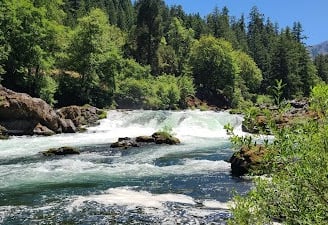 Waterfall Hwy, OR -Salmon jump up the Deadline Falls waterfall