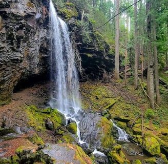 Waterfall Hwy, OR - Grotto Falls, falling from a huge, overhanging rock formation