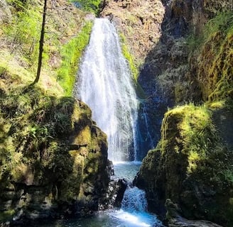 Waterfall Hwy, OR - Susan Creek Falls drops into a big pool, perfect to cool off in