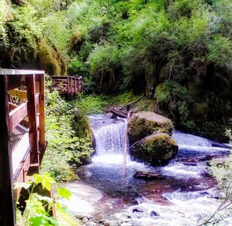 Oregon Coast - Sweet Creek Falls has a few small waterfalls along the trail in Mapleton
