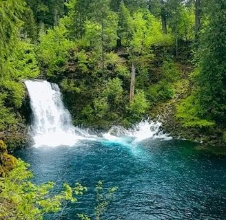 Eugene - Tamolitch Falls plunges into a 30 feet deep blue-turquoise pool