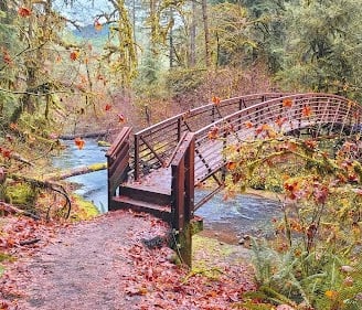 Waterfall Hwy, OR - Footbridge across the creek to get to Wolf Creek Falls trailhead