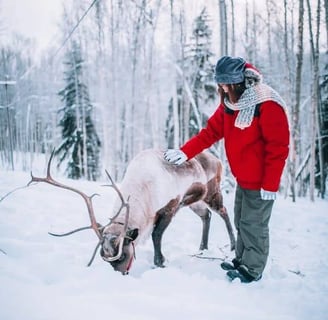 Fairbanks, AK - Several places to visit, pet, and feed reindeer