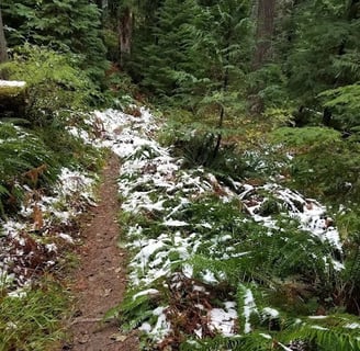 Powers OR - Coquille River Falls trail with snow on the ground