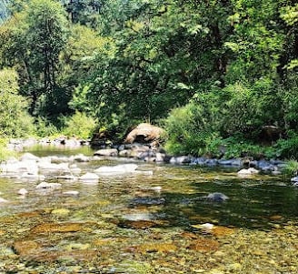 Powers, OR - relaxing in the Coquille River on a hot day