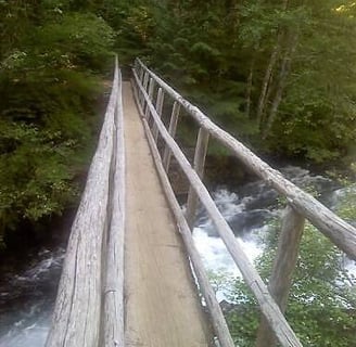 Eugene, OR - Footbridge across McKenzie River is 1/2 a log 30 inches wide heading to Sahalie Falls
