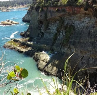 Oregon Coast - Poke your head thru the trees too see this view from the cliffs of Shore Acres Park