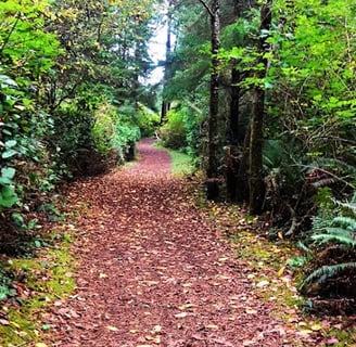 Oregon Coast - Shore Acres Park trail thru woods