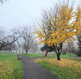 Roseburg - Stewart Park has nature trails & activities like disc golf, tennis, skate park & more