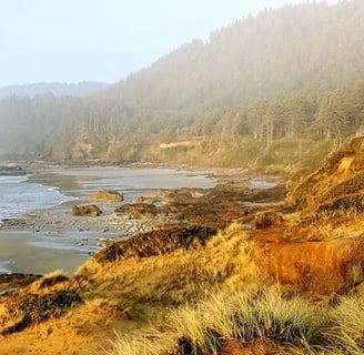 Oregon Coast - Strawberry Hill Wayside scenery, orange earth & green trees against a blue ocean