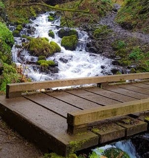 Columbia River Gorge Oregon - cross a footbridge over the creek to Wahkeena Falls viewpoint