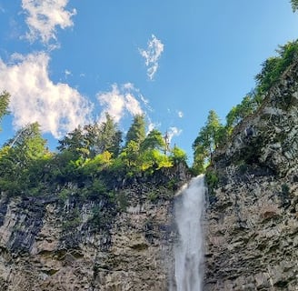 Waterfall Hwy - Watson Falls drops 293 feet into a hole made by a volcano eruption
