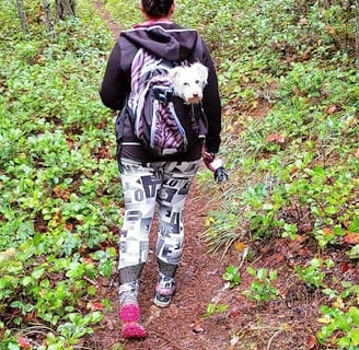 Waterfall Hwy, OR - My daughter walking in front with my dog in a backpack on the Wolf Creek Falls t