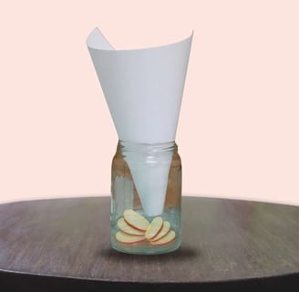 A simple DIY funnel fruit fly trap made with a bottle and bait, ideal for catching and removing fruit flies from the kitchen