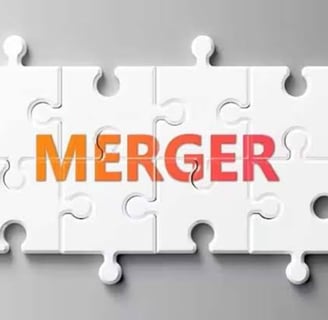 India’s Banking Sector Update: No New PSB Mergers, Focus Shifts to Privatization in FY25"