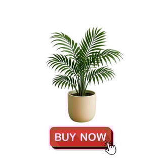 Indoor Palm in Amazon