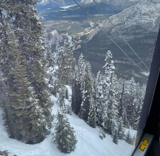 Sulphur mountain view from the gondola