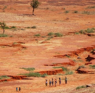 A Complex Threat: The Implications of Climate Change for Food Security and Social Conflict in the Sahel_ African Narratives