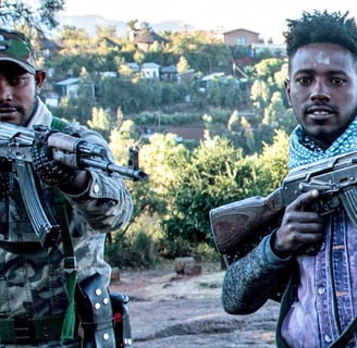 Government Failure and Civil War: Conflict in Ethiopia’s Amhara Region