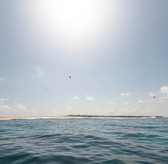 Latham Island Fishing Charters Zanzibar - Stunning aerial view of Latham Island