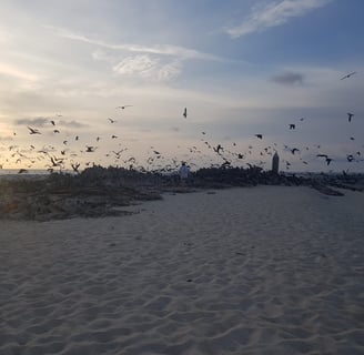 Latham Island Fishing Charters Zanzibar - Sunset over Latham Island