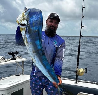 Catamaran fishing charters Seychelles - Dorado