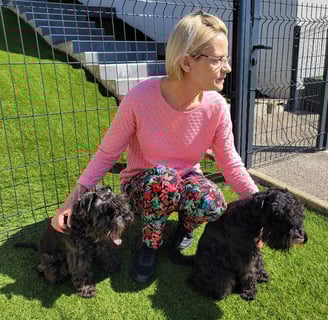 Eleveuse et Schnauzers miniatures