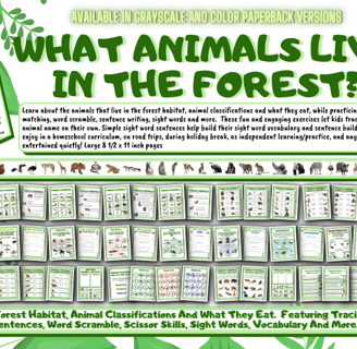 Learn about the animals that live in the forest habitat, animal classifications and what they eat.